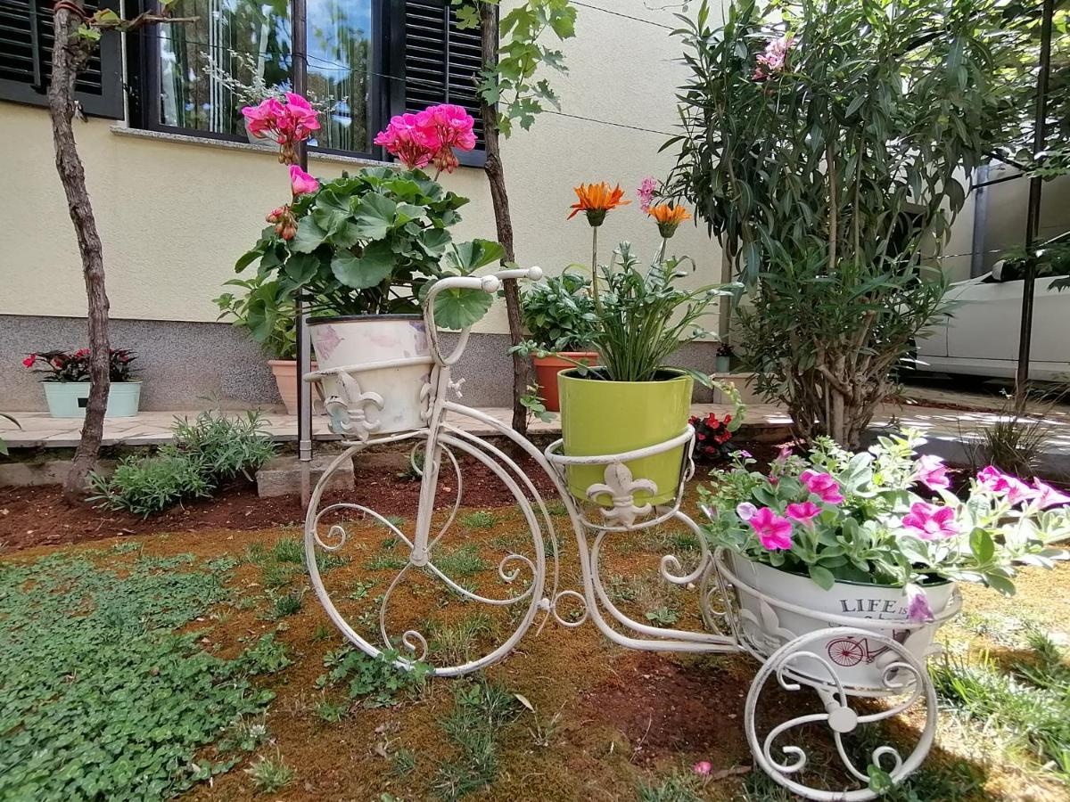 Apartment Oliva Пула Экстерьер фото